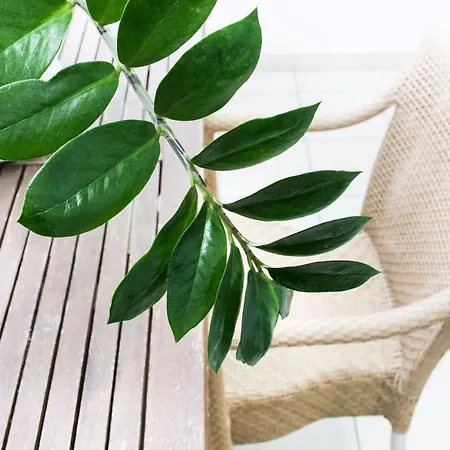 Apartment Perla Del Parco *