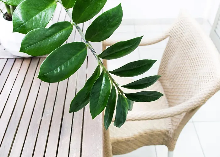 Lägenhet Perla Del Parco *